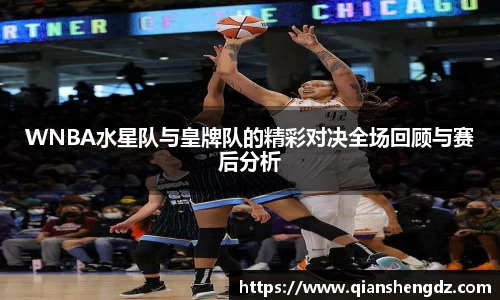 球速体育平台入口