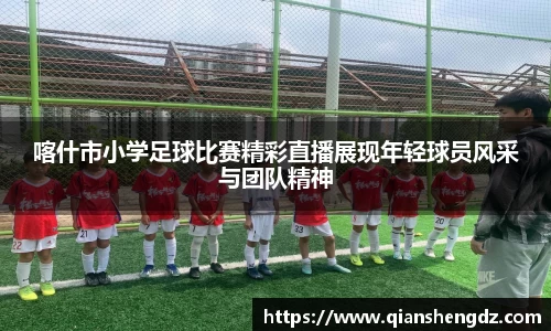 球速体育